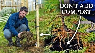 How to Plant a Bare-Root Fruit Tree | Zero Fertility Method