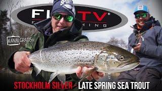 FLY TV - Stockholm Silver - Late Spring Sea Trout Fly Fishing