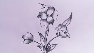 Easy flowers drawing || Flower  Drawing  || Pencil drawing #flowerdrawing #drawing