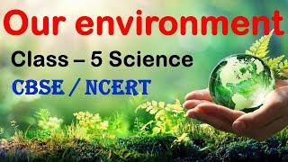 Our Environment | Class - 5 | Science | CBSE Board | Types of Pollution | Orchids eLearning