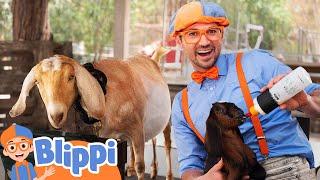 Blippi Visits a Baby Animal Farm! | Learn About Animals | Animal Videos for Kids