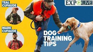 Don't Stop Retrieving - Training Hunting Dogs