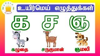 தமிழரசி- க ங ச(உயிர்மெய் எழுத்துக்கள்)|UyirMei Ezhuthukkal |Learn Tamil letters for kids|Tamilarasi