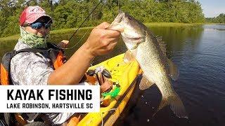 Bass on Hellgrammite Worms on Shaky Head, Cl8Bait Mighty Mouse Chain Pickerel! Kayak Bass Fishing