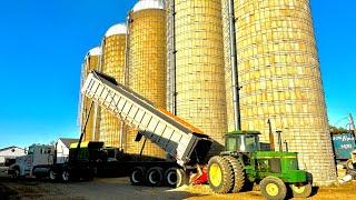 HIGH MOISTURE CORN IN A SILO!