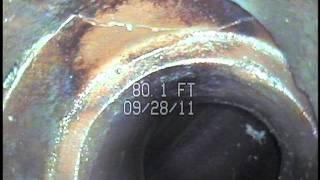 Home Inspection - Septic Sewer Line in Seattle