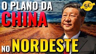 O Verdadeiro Motivo Por Trás dos Altos Investimentos da China no Nordeste...