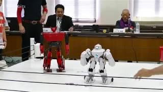 Real Steel ! Mechawarriors in a robot mma fight from Japan!