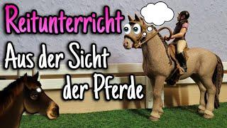 Reitstunde aus der Sicht der Pferde  | Reitunterricht #1