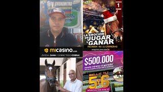 HIPISMO PROFESIONAL  DOMINGO 01/12/2024