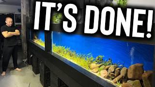 My 16 foot long aquarium got fully planted! The king of DIY