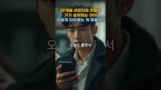 29개월.어린이집 가기 싫어하는 아이… 어떻게 타이르는 게 맞을까?