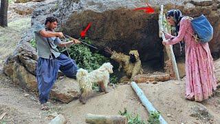 **"Chasing the Caveman; Can Ali Save His Family?"**