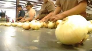 CNN: Immigration law threatens farm labor