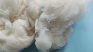 New and cheapest Combed sheep wool for woolen yarn spinning