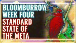 MTG Standard Decks Tier List for Bloomburrow Week 4 | MTG Rebellion