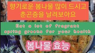 춘곤증을 이기는 봄나물들, 쪽파, 쑥, 냉이 효능, Healthy Spring Greens