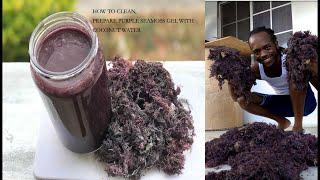 HOW TO CLEAN,PREPARE PURPLE SEAMOSS GEL WITH COCONUT WATER