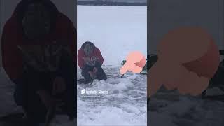 Catching perch with a pen! #icefishing #perch #foryou