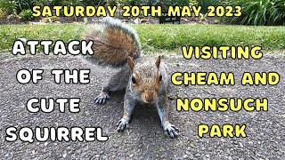 Attack of the cute squirrel | Visiting Cheam and Nonsuch park | Saturday 20th May 2023