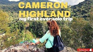 MY FIRST EVER SOLO TRIP || TOP THINGS TO DO IN CAMERON HIGHLAND || VISITING TOURIST ATTRACTION