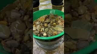 Do you carry a gun while Gold Prospecting?