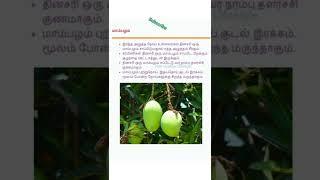 Healthy Lifestyle Tips Tamil:Mango,Mangifera மாம்பழம் |#shorts