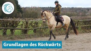 Rückwärtsrichten - Grundlagen und Herausforderungen von korrektem Rückwärts