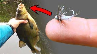 How to catch BIG Bream on a fly? Bream fishing on lures on the canal. SUL fishing