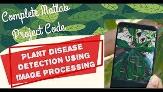 Plant Disease Detection & Classification Using Image Processing Matlab Project