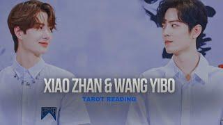 The Untamed Xiao Zhan & Wang Yibo Tarot Reading