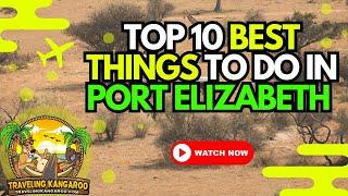  Top 10 Best Things To Do In Port Elizabeth | Explore South Africa’s Coastal Gem ️