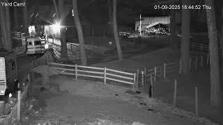 Goldy's Farm Animal Sanctuary Live Stream (www.GoldysFarm.com)