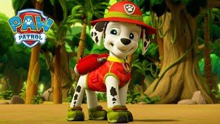 丛林小狗  - PAW Patrol 汪汪隊立大功 - 兒童卡通