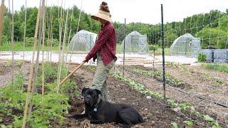 Spring Garden Tour 2024: Growing Our Organic Food! 