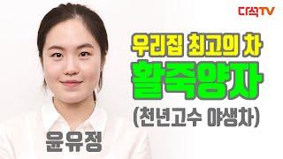 [우리집 최고의 차] 2020년 활죽양자 윤유정