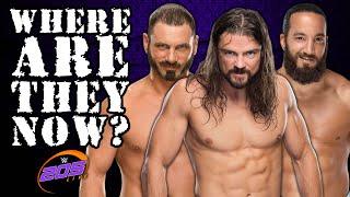 What Happened To EVERY Wrestler From WWE 205 Live's Original Roster?
