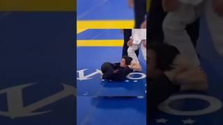 The Best Base for Jiu Jitsu