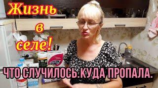 Что случилось. Куда пропала. Покупки. Цветник. Ужин.