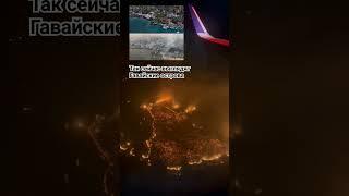 Берегите природу! #природа #экология #россия #новости #сша #жизнь