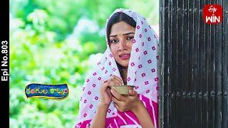 Rangula Ratnam | 10th June 2024 | Full Episode No 803 | ETV Telugu