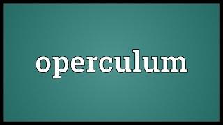 Operculum Meaning