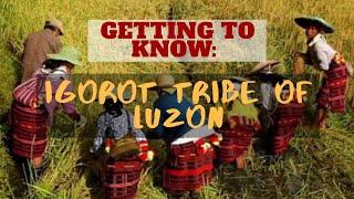 Getting to know: Igorot Tribe of Luzon, Philippines