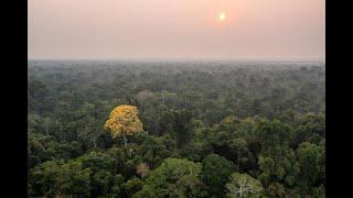 National Geographic and Rolex Perpetual Planet Amazon Expedition