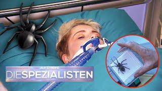 Giftigste SPINNE der Welt???  Frau wird nach BISS ins KOMA versetzt  ​| Die Spezialisten | SAT.1