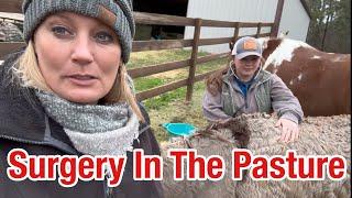 My “Pony” Saw The Vet About Her Tumor | Farm Call With Dr Cochran