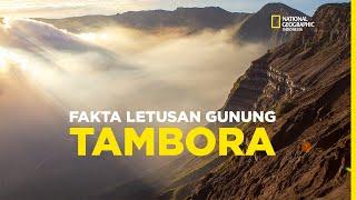 TAMBORA, LETUSAN GUNUNG API TERDAHSYAT DI DUNIA