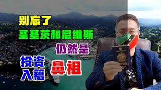 移民 | 圣基茨捐赠方式费用解析，正统法案入籍护照 |圣基茨护照|投资入籍|小国护照|岛国护照|加勒比护照|圣卢西亚