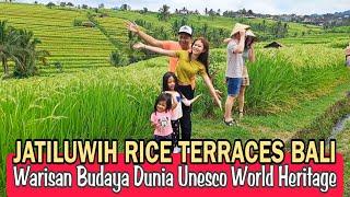 Jatiluwih Rice Terraces | Bali rice field tourism object, Unesco world cultural heritage. #jatiluwih