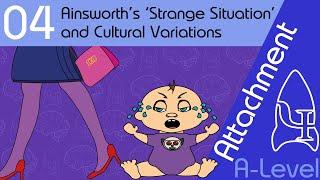 Ainsworth’s ‘Strange Situation’ - Attachment [A-Level Psychology]